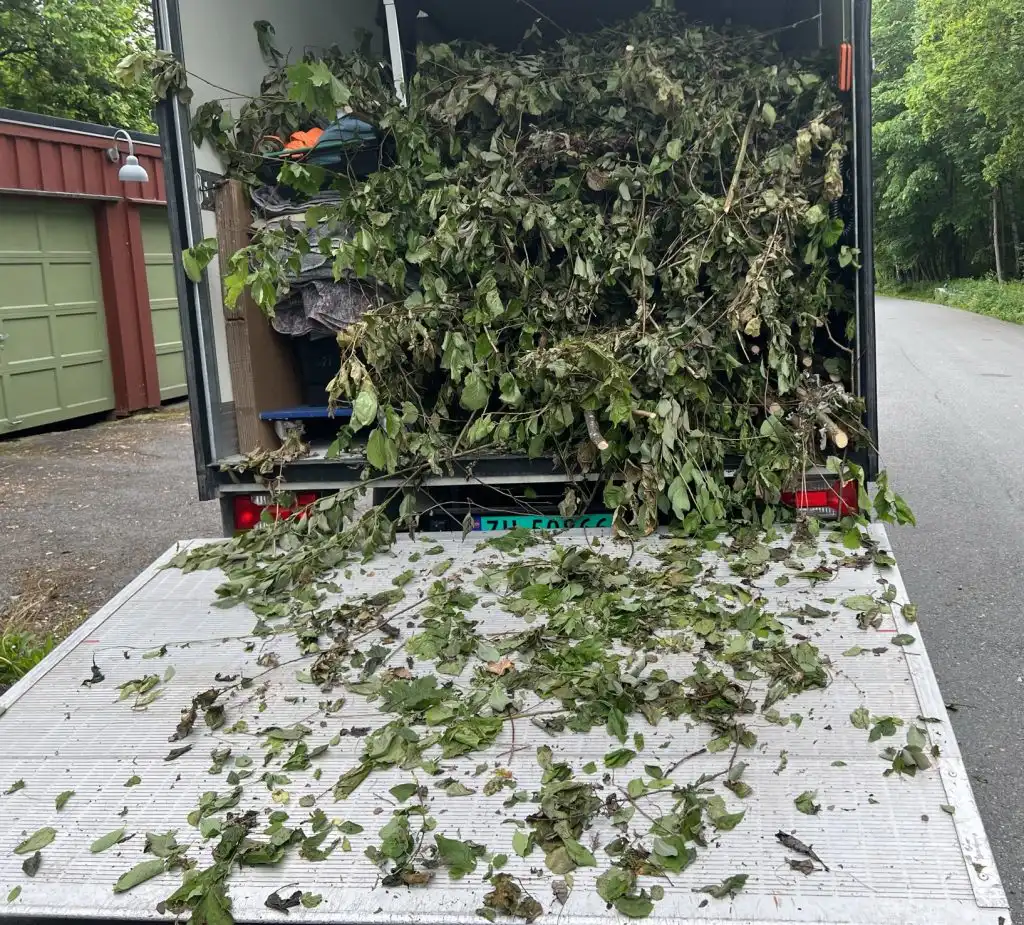 Bortkjøring av hageavfall